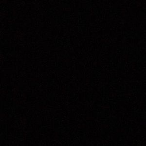 Meet your Posher, Maia